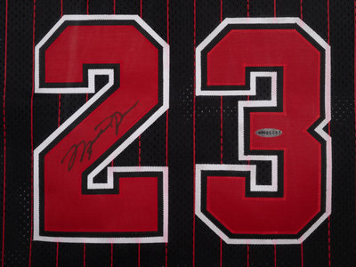 Lot Detail - 1996-97 Michael Jordan Chicago Bulls Autographed Pro Cut Home  Jersey (JSA • UDA)