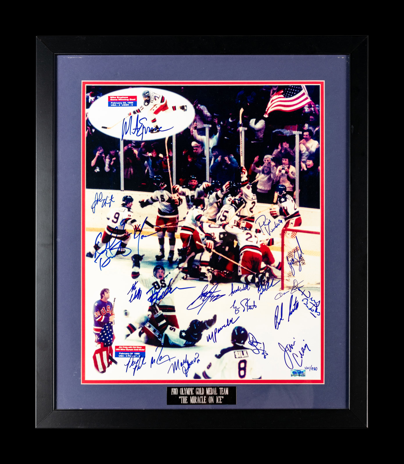 MIKE ERUZIONE SIGNED 1980 Miracle on Ice TEAM USA FRAMED GOLD