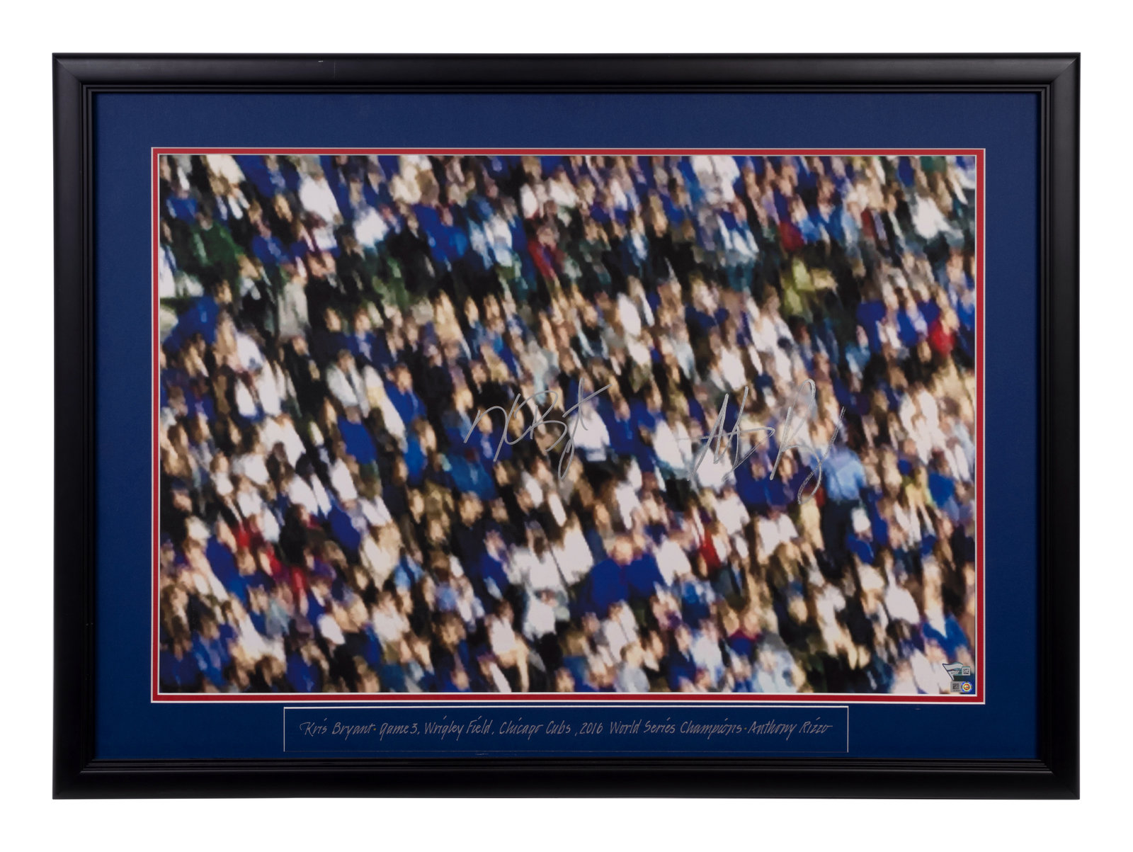 Anthony Rizzo Chicago Cubs Fanatics Authentic Deluxe Framed